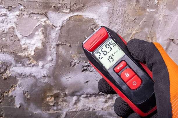 Best Attic Mold Removal  in Shippensburg, PA